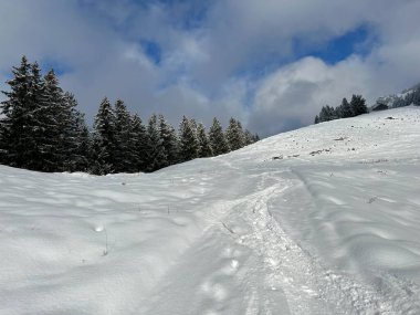 Wonderful winter hiking trails and traces over the Lake Walen or Lake Walenstadt (Walensee) and in the fresh alpine snow cover of the Swiss Alps, Amden - Canton of St. Gallen, Switzerland / Schweiz