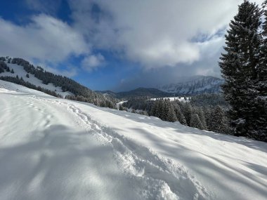 Wonderful winter hiking trails and traces over the Lake Walen or Lake Walenstadt (Walensee) and in the fresh alpine snow cover of the Swiss Alps, Amden - Canton of St. Gallen, Switzerland / Schweiz
