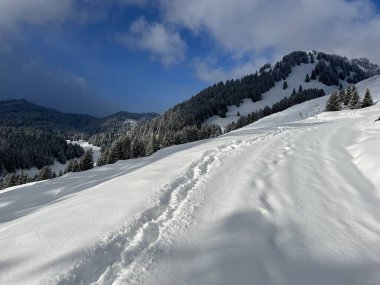 Wonderful winter hiking trails and traces over the Lake Walen or Lake Walenstadt (Walensee) and in the fresh alpine snow cover of the Swiss Alps, Amden - Canton of St. Gallen, Switzerland / Schweiz