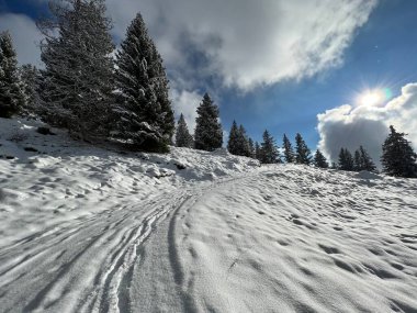 Wonderful winter hiking trails and traces over the Lake Walen or Lake Walenstadt (Walensee) and in the fresh alpine snow cover of the Swiss Alps, Amden - Canton of St. Gallen, Switzerland / Schweiz