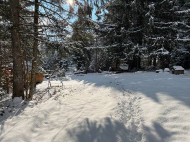 Wonderful winter hiking trails and traces over the Lake Walen or Lake Walenstadt (Walensee) and in the fresh alpine snow cover of the Swiss Alps, Amden - Canton of St. Gallen, Switzerland / Schweiz