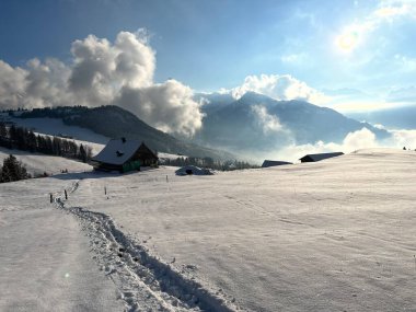 Wonderful winter hiking trails and traces over the Lake Walen or Lake Walenstadt (Walensee) and in the fresh alpine snow cover of the Swiss Alps, Amden - Canton of St. Gallen, Switzerland / Schweiz