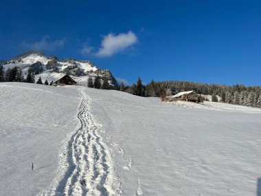 Wonderful winter hiking trails and traces over the Lake Walen or Lake Walenstadt (Walensee) and in the fresh alpine snow cover of the Swiss Alps, Amden - Canton of St. Gallen, Switzerland / Schweiz