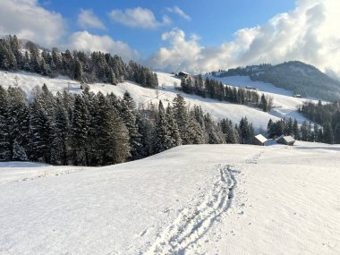 Wonderful winter hiking trails and traces over the Lake Walen or Lake Walenstadt (Walensee) and in the fresh alpine snow cover of the Swiss Alps, Amden - Canton of St. Gallen, Switzerland / Schweiz