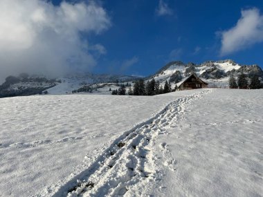 Wonderful winter hiking trails and traces over the Lake Walen or Lake Walenstadt (Walensee) and in the fresh alpine snow cover of the Swiss Alps, Amden - Canton of St. Gallen, Switzerland / Schweiz