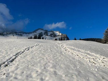 Wonderful winter hiking trails and traces over the Lake Walen or Lake Walenstadt (Walensee) and in the fresh alpine snow cover of the Swiss Alps, Amden - Canton of St. Gallen, Switzerland / Schweiz