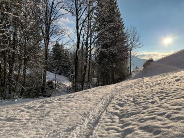 Wonderful winter hiking trails and traces over the Lake Walen or Lake Walenstadt (Walensee) and in the fresh alpine snow cover of the Swiss Alps, Amden - Canton of St. Gallen, Switzerland / Schweiz