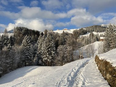 Wonderful winter hiking trails and traces over the Lake Walen or Lake Walenstadt (Walensee) and in the fresh alpine snow cover of the Swiss Alps, Amden - Canton of St. Gallen, Switzerland / Schweiz