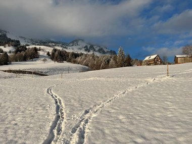 Wonderful winter hiking trails and traces over the Lake Walen or Lake Walenstadt (Walensee) and in the fresh alpine snow cover of the Swiss Alps, Amden - Canton of St. Gallen, Switzerland / Schweiz