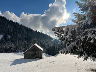 Indigenous alpine huts and wooden cattle stables in the Swiss Alps covered with fresh first snow over the Lake Walen or Lake Walenstadt (Walensee), Amden - Canton of St. Gallen, Switzerland / Schweiz