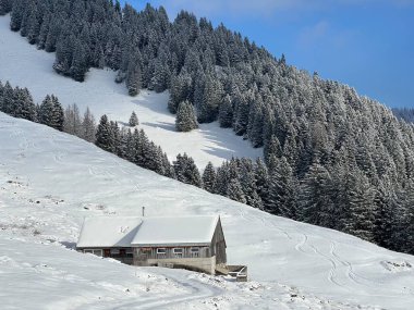Indigenous alpine huts and wooden cattle stables in the Swiss Alps covered with fresh first snow over the Lake Walen or Lake Walenstadt (Walensee), Amden - Canton of St. Gallen, Switzerland / Schweiz