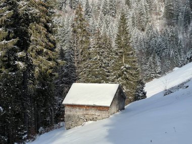 Indigenous alpine huts and wooden cattle stables in the Swiss Alps covered with fresh first snow over the Lake Walen or Lake Walenstadt (Walensee), Amden - Canton of St. Gallen, Switzerland / Schweiz