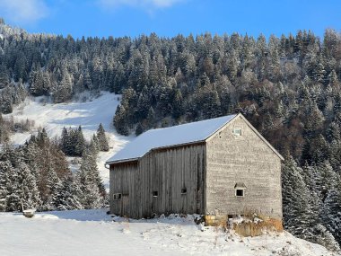 Indigenous alpine huts and wooden cattle stables in the Swiss Alps covered with fresh first snow over the Lake Walen or Lake Walenstadt (Walensee), Amden - Canton of St. Gallen, Switzerland / Schweiz