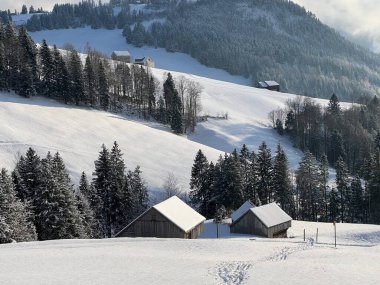 Indigenous alpine huts and wooden cattle stables in the Swiss Alps covered with fresh first snow over the Lake Walen or Lake Walenstadt (Walensee), Amden - Canton of St. Gallen, Switzerland / Schweiz