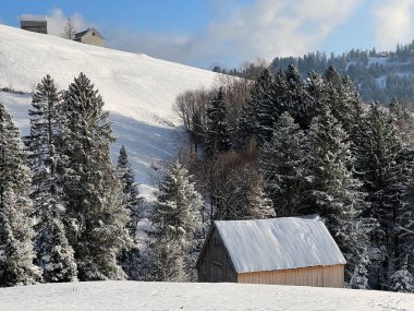 Indigenous alpine huts and wooden cattle stables in the Swiss Alps covered with fresh first snow over the Lake Walen or Lake Walenstadt (Walensee), Amden - Canton of St. Gallen, Switzerland / Schweiz