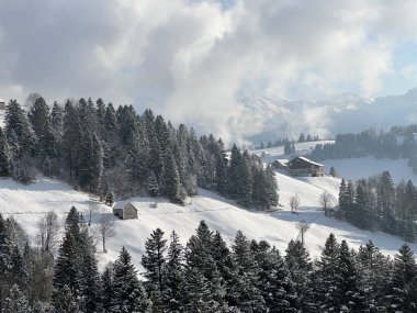 Picturesque canopies of alpine trees in a typical winter atmosphere after the winter snowfall over the Lake Walen or Lake Walenstadt (Walensee) and in the Swiss Alps, Amden - Switzerland / Schweiz