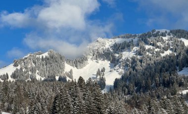 Picturesque canopies of alpine trees in a typical winter atmosphere after the winter snowfall over the Lake Walen or Lake Walenstadt (Walensee) and in the Swiss Alps, Amden - Switzerland / Schweiz
