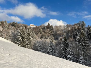 Picturesque canopies of alpine trees in a typical winter atmosphere after the winter snowfall over the Lake Walen or Lake Walenstadt (Walensee) and in the Swiss Alps, Amden - Switzerland / Schweiz