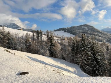 Picturesque canopies of alpine trees in a typical winter atmosphere after the winter snowfall over the Lake Walen or Lake Walenstadt (Walensee) and in the Swiss Alps, Amden - Switzerland / Schweiz