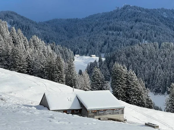 Indigenous alpine huts and wooden cattle stables in the Swiss Alps covered with fresh first snow over the Lake Walen or Lake Walenstadt (Walensee), Amden - Canton of St. Gallen, Switzerland / Schweiz