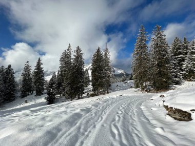 Winter snow idyll along the rural alpine road above the Lake Walen or Lake Walenstadt (Walensee) and in the Swiss Alps, Amden - Canton of St. Gallen, Switzerland / Schweiz