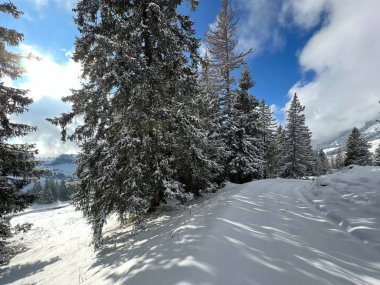 Winter snow idyll along the rural alpine road above the Lake Walen or Lake Walenstadt (Walensee) and in the Swiss Alps, Amden - Canton of St. Gallen, Switzerland / Schweiz