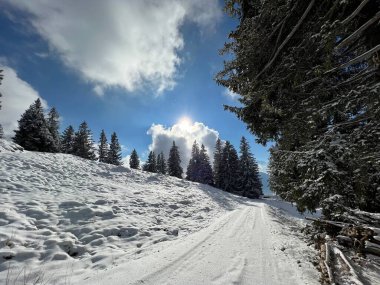 Winter snow idyll along the rural alpine road above the Lake Walen or Lake Walenstadt (Walensee) and in the Swiss Alps, Amden - Canton of St. Gallen, Switzerland / Schweiz