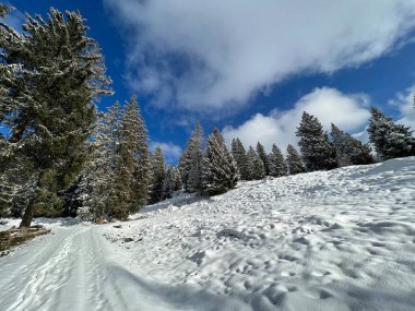 Winter snow idyll along the rural alpine road above the Lake Walen or Lake Walenstadt (Walensee) and in the Swiss Alps, Amden - Canton of St. Gallen, Switzerland / Schweiz