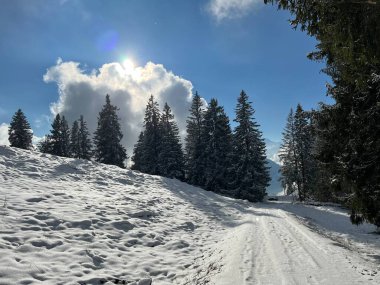 Winter snow idyll along the rural alpine road above the Lake Walen or Lake Walenstadt (Walensee) and in the Swiss Alps, Amden - Canton of St. Gallen, Switzerland / Schweiz