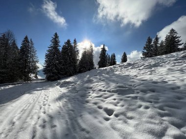 Winter snow idyll along the rural alpine road above the Lake Walen or Lake Walenstadt (Walensee) and in the Swiss Alps, Amden - Canton of St. Gallen, Switzerland / Schweiz