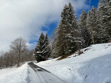 Winter snow idyll along the rural alpine road above the Lake Walen or Lake Walenstadt (Walensee) and in the Swiss Alps, Amden - Canton of St. Gallen, Switzerland / Schweiz