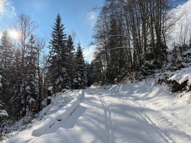 Winter snow idyll along the rural alpine road above the Lake Walen or Lake Walenstadt (Walensee) and in the Swiss Alps, Amden - Canton of St. Gallen, Switzerland / Schweiz