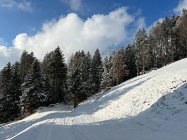 Winter snow idyll along the rural alpine road above the Lake Walen or Lake Walenstadt (Walensee) and in the Swiss Alps, Amden - Canton of St. Gallen, Switzerland / Schweiz