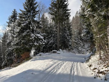 Winter snow idyll along the rural alpine road above the Lake Walen or Lake Walenstadt (Walensee) and in the Swiss Alps, Amden - Canton of St. Gallen, Switzerland / Schweiz