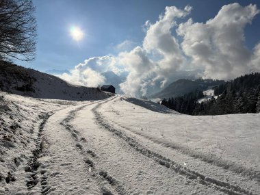 Winter snow idyll along the rural alpine road above the Lake Walen or Lake Walenstadt (Walensee) and in the Swiss Alps, Amden - Canton of St. Gallen, Switzerland / Schweiz