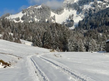Winter snow idyll along the rural alpine road above the Lake Walen or Lake Walenstadt (Walensee) and in the Swiss Alps, Amden - Canton of St. Gallen, Switzerland / Schweiz