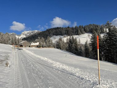 Winter snow idyll along the rural alpine road above the Lake Walen or Lake Walenstadt (Walensee) and in the Swiss Alps, Amden - Canton of St. Gallen, Switzerland / Schweiz