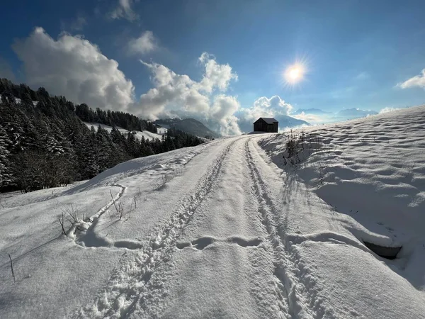 Winter snow idyll along the rural alpine road above the Lake Walen or Lake Walenstadt (Walensee) and in the Swiss Alps, Amden - Canton of St. Gallen, Switzerland / Schweiz