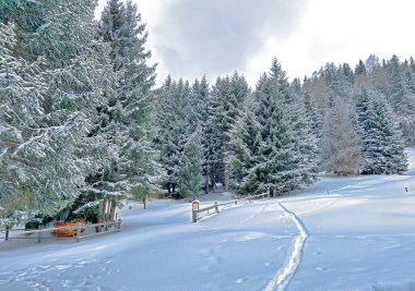 Wonderful winter hiking trails and traces after the winter snowfall above the tourist resorts of Valbella and Lenzerheide in the Swiss Alps - Canton of Grisons, Switzerland (Schweiz)