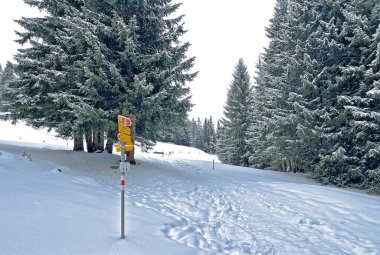 Hiking markings and orientation signs with signposts for navigating in the idyllic winter ambience above the tourist resorts of Valbella and Lenzerheide in the Swiss Alps - Canton of Grisons, Switzerland / Schweiz