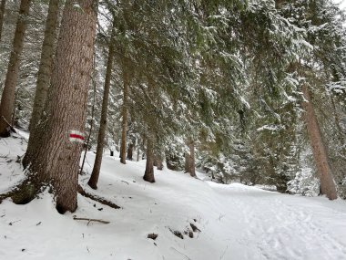 Hiking markings and orientation signs with signposts for navigating in the idyllic winter ambience above the tourist resorts of Valbella and Lenzerheide in the Swiss Alps - Canton of Grisons, Switzerland / Schweiz