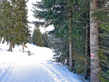 Hiking markings and orientation signs with signposts for navigating in the idyllic winter ambience above the tourist resorts of Valbella and Lenzerheide in the Swiss Alps - Canton of Grisons, Switzerland / Schweiz