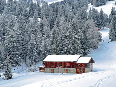 Old traditional swiss rural architecture and alpine livestock farms in the winter ambience of the tourist resorts of Valbella and Lenzerheide in the Swiss Alps - Canton of Grisons, Switzerland / Schweiz