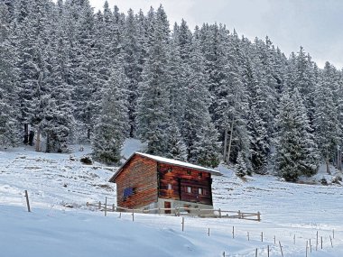 Old traditional swiss rural architecture and alpine livestock farms in the winter ambience of the tourist resorts of Valbella and Lenzerheide in the Swiss Alps - Canton of Grisons, Switzerland / Schweiz