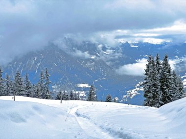 Beautiful low winter clouds and fog condensation in the Swiss Alps above the tourist resorts of Valbella and Lenzerheide in the Swiss Alps - Canton of Grisons, Switzerland (Schweiz)