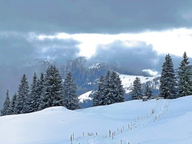 Beautiful low winter clouds and fog condensation in the Swiss Alps above the tourist resorts of Valbella and Lenzerheide in the Swiss Alps - Canton of Grisons, Switzerland (Schweiz)