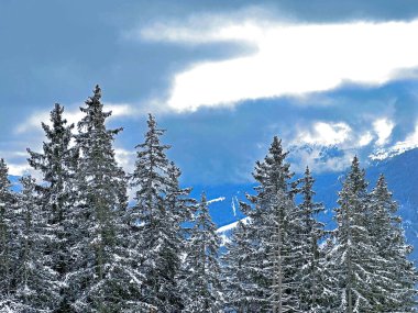 Beautiful low winter clouds and fog condensation in the Swiss Alps above the tourist resorts of Valbella and Lenzerheide in the Swiss Alps - Canton of Grisons, Switzerland (Schweiz)