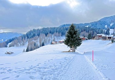 Winter snow idyll along the rural alpine road above the tourist resorts of Valbella and Lenzerheide in the Swiss Alps - Canton of Grisons, Switzerland (Schweiz)