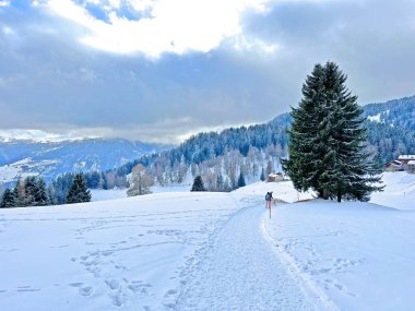Winter snow idyll along the rural alpine road above the tourist resorts of Valbella and Lenzerheide in the Swiss Alps - Canton of Grisons, Switzerland (Schweiz)
