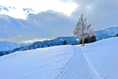 Winter snow idyll along the rural alpine road above the tourist resorts of Valbella and Lenzerheide in the Swiss Alps - Canton of Grisons, Switzerland (Schweiz)